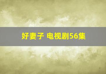 好妻子 电视剧56集